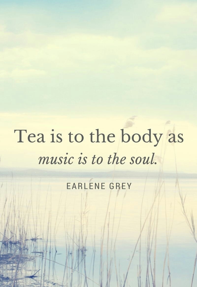 Tea is to the body as music is to the soul.