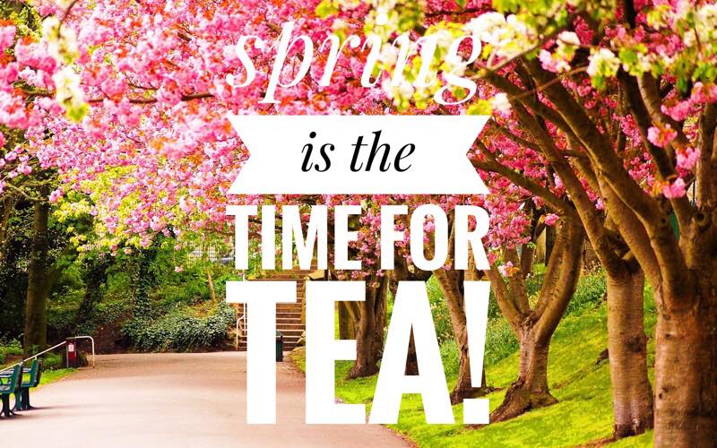 What is the best tea for Spring?